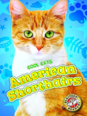 cover image of American Shorthairs